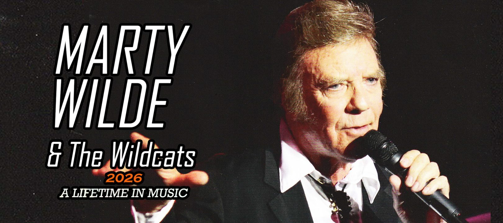 Marty Wilde and the Wildcats
